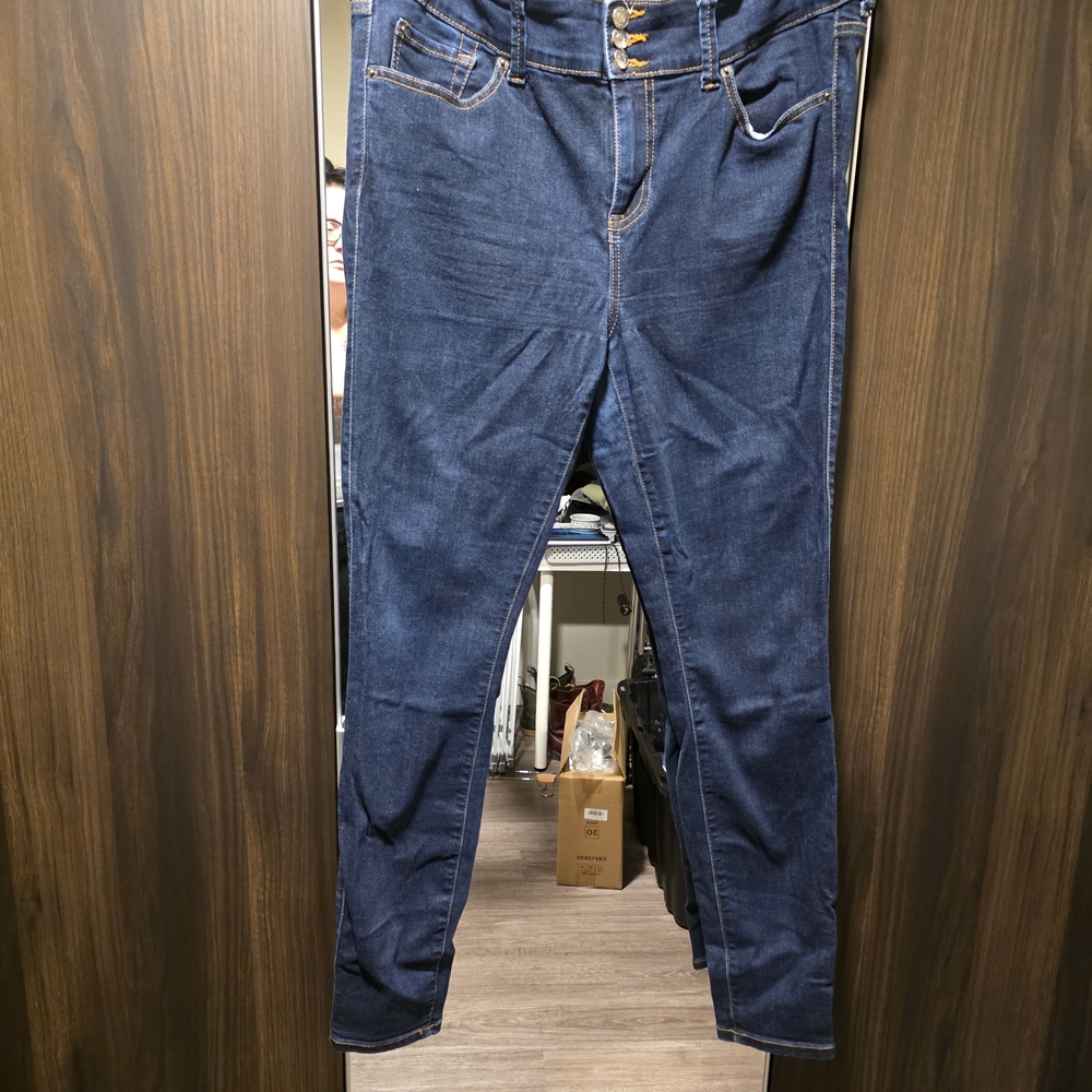 Torrid Dark Blue Jeggings